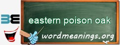 WordMeaning blackboard for eastern poison oak